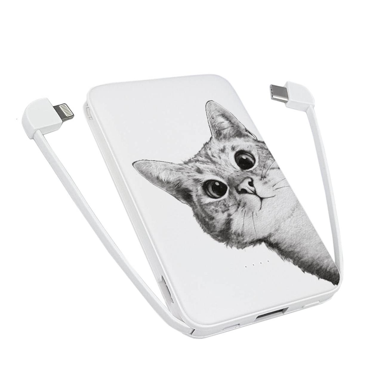 Повербанк power bank ZIZ Гей, Кіт 5000 мАч