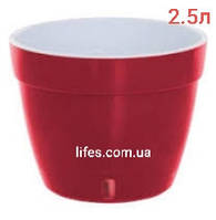 Вазон Асті пластик червоний 2.5 л