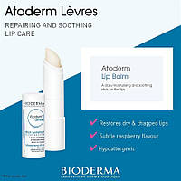 Bioderma Atoderm бальзам стик для губ Биодерма Атодерм гигиеническая помада Lip stick Levres 4г