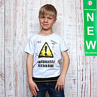 Дитяча футболка для хлопчика, сіра (2651-037), Mackays 116 р. Сірий