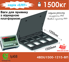 Ваги для приямка з відкидною платформою 4BDU1500-1215ВП-Е