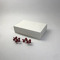 Коробка для эклеров, 230*150*60 мм, без окна, белая
