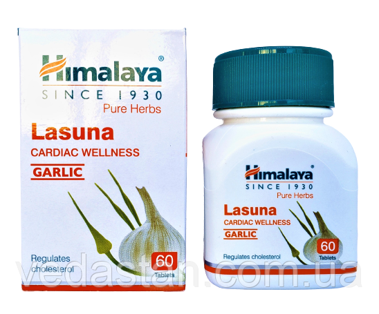 Ласуна - накопичення холестерину, запобігає атеросклерозу, диспепсія, метеоризм, кашель, застуда, астма..., фото 1