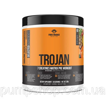 Креатинова суміш FireSnake Nutrition Trojan (7 паків) 300 г, фото 2