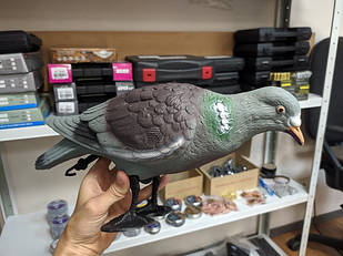 Підсудний голуб Hunting Birdland кормящийся Опудало голуба Вяхирь кормящийся Голуб для полювання