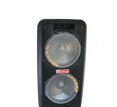 Портативна колонка Su-Kam 1010 2 мікрофони з BT 12v/220v