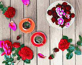 Брашми GX 32502 Рожевий фретлэй