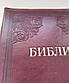 Біблія 077 Zti розмір 17.5 х 24.5 см., шкір. бордова (артикул 11763.7) / російською мовою, фото 6