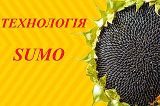 Технологія SUMO