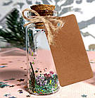 Скляна Баночка з дерев'яною пробкою 80х47 мм, 90 мл, фото 7