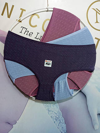 Жіночі труси Donella. Туреччина. Батальні., фото 1