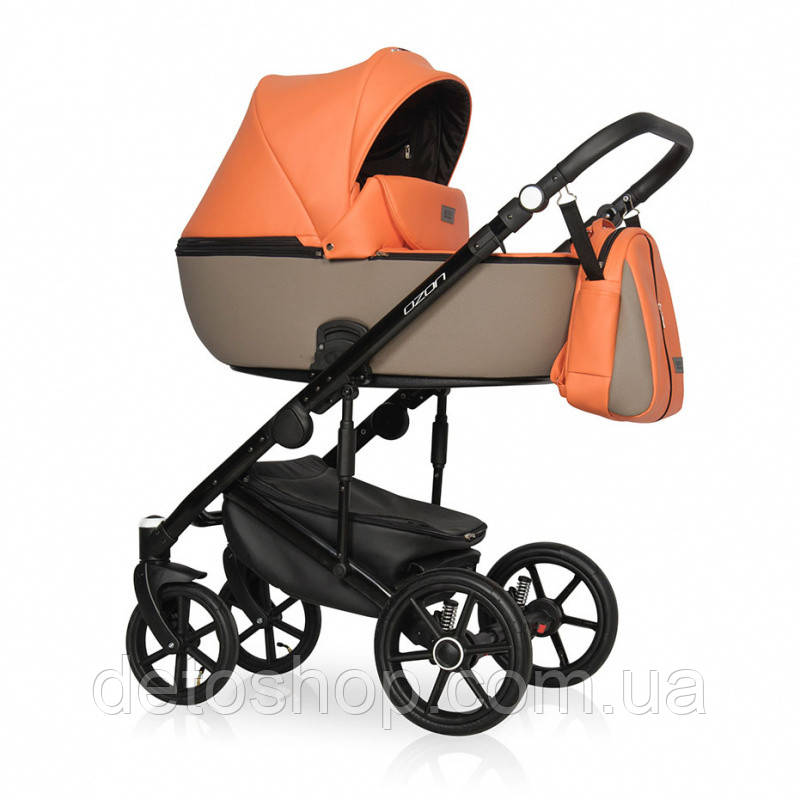 Коляска 2 в 1 Riko Ozon Ecco 24