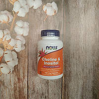 Now Foods Choline & Inositol 100 veg caps холін інозитол Нау