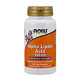 Альфа-ліпоєва кислота NOW Alpha Lipoic Acid 250 mg 60 капс, фото 4