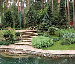 Паркові сади., фото 5
