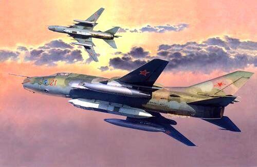 Су-17 М3. Збірна модель літака в масштабі 1/72. MISTER CRAFT D-19