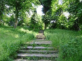 Паркові сади.