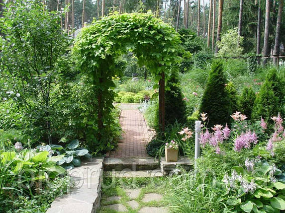 Все для ландшафтного дизайну., фото 1