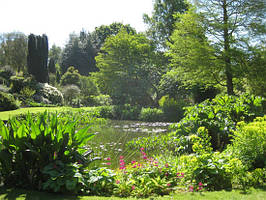 Створення ландшафтів в природному стилі.