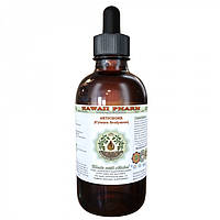 Hawaii Pharm Artichoke Alcohol-FREE Organic / Артишок рідкий органік без спирту 120 мл