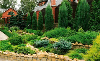 Озеленення кафе., фото 5