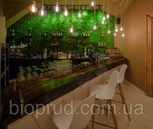 Озеленення кафе., фото 1
