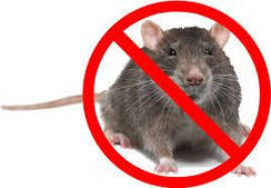 Родентициди