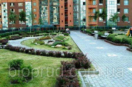 Шляхетність прибудинкової території.