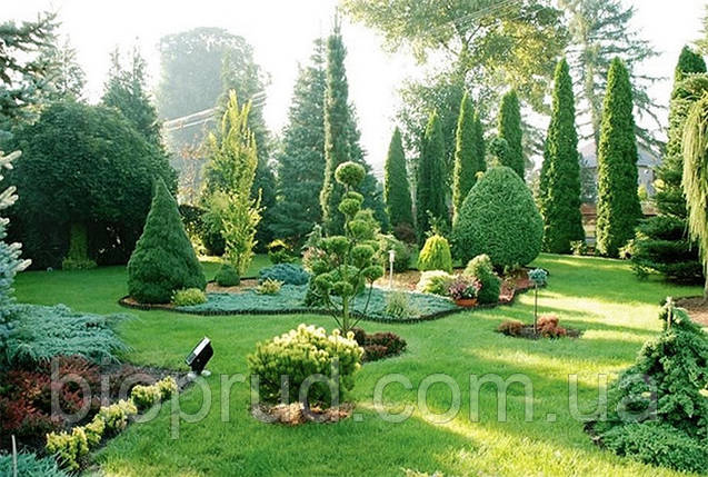 Ландшафтний дизайн участку на склоні., фото 1