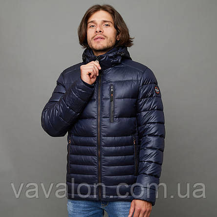 Куртка демисезонная Vavalon EZ-923 Navy, фото 1