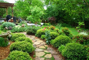 Озеленення прибудинкової території.