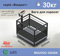 Ваги для зважування поросят BDU30С-0608Х