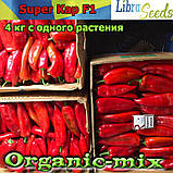 СУПЕР КАП F1 / SUPER KAP F1, тип Капія, насіння солодкого перцю (ТМ LIBRA SEEDS), фото 3