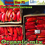 СУПЕР КАП F1/SUPER KAP F1, тип Капія, насіння солодкого перцю (ТМ LIBRA SEEDS), пакет 250 насіння, фото 2