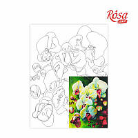 Полотно на картоні з контуром, Натюрморт No 18, 30*40, бавовна, акрил, ROSA START