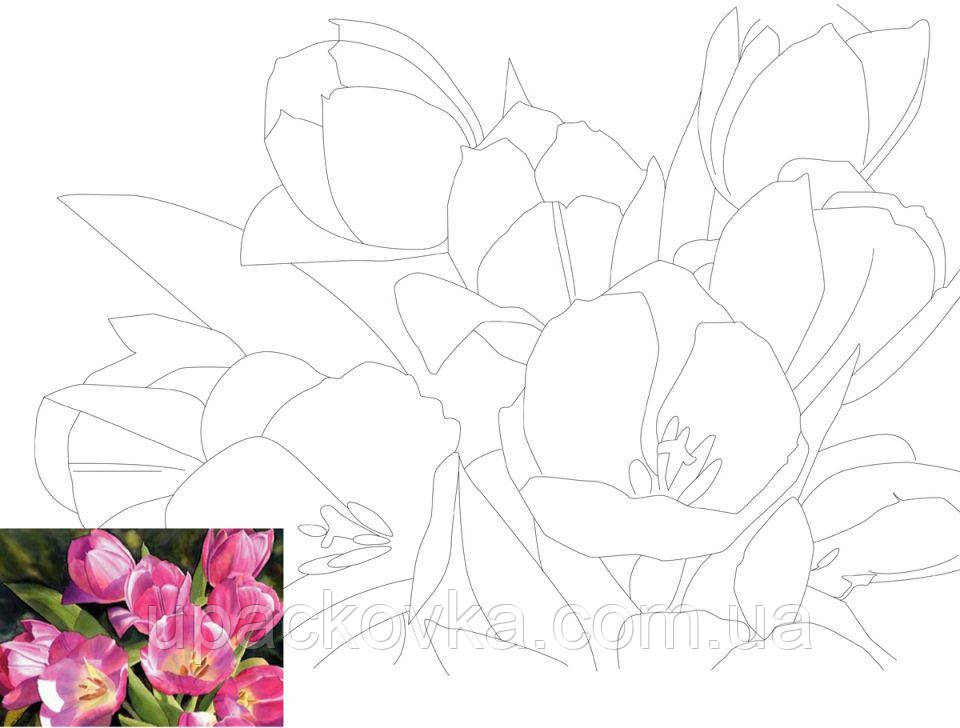 Холст на картоне с контуром, Натюрморт № 16, 30*40, хлопок, акрил, ROSA START, фото 1