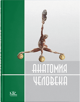 Книга "Анатомія людини" — 2-е вид. Черкасов В. Р., Кравчук С. Ю.