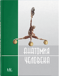 Книга "Анатомія людини" — 2-е вид. Черкасов В. Р., Кравчук С. Ю.