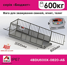 Ваги для свиней 4BDU600Х-0820-Б Бюджет