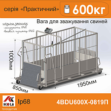 Ваги для свиней 4BDU600Х-0819-П Практичний