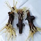 100 мл PhytoClone Gel — укорінювач для рослин [аналог Clonex], фото 6