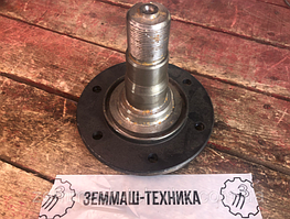 Вісь маточина АГ 2.1.02-01 нового зразка
