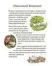 Ожиновий живопліт. Осіння історія. Автор Джилл Барклем, фото 3