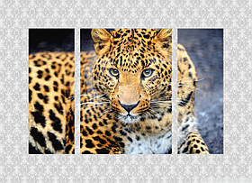 Модульна картина "Леопард"