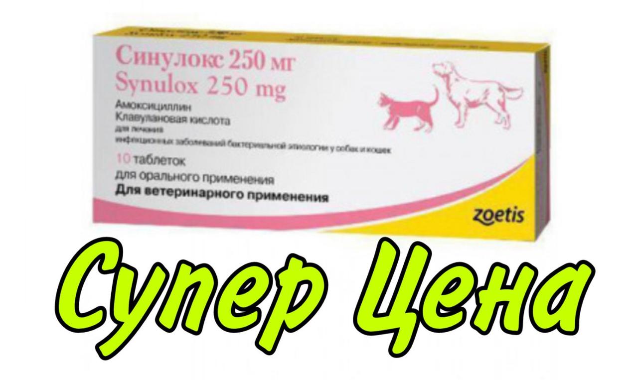 Синулокс Для Собак 500 Купить В Екатеринбурге