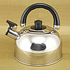 Чайник со свистком на 2,5 л A-Plus AP-1321, фото 4