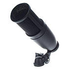 Студійний конденсаторний мікрофон AKG P120, фото 6