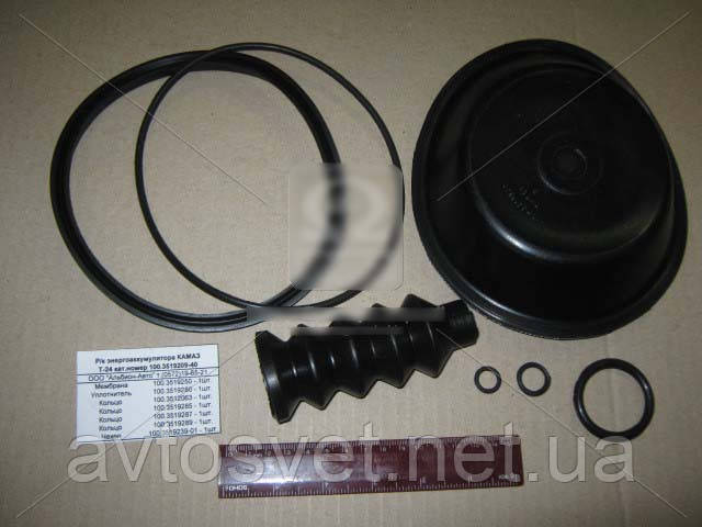 Р/к камери гальмівний. енергоакумулятора Т-24 (вир-во Україна) 100.3519209-40