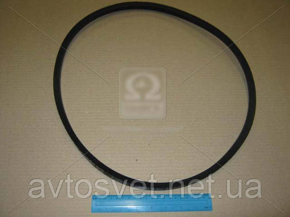 Ремінь B 1250 (ВБ-1250 (пр-во Rubena) B 1250, фото 1