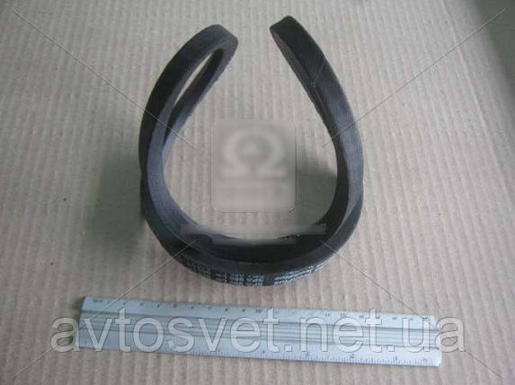 Ремінь 11х10х950 ЯМЗ 236, -238, Д65 (пр-во Rubena) 11х10х950, фото 1